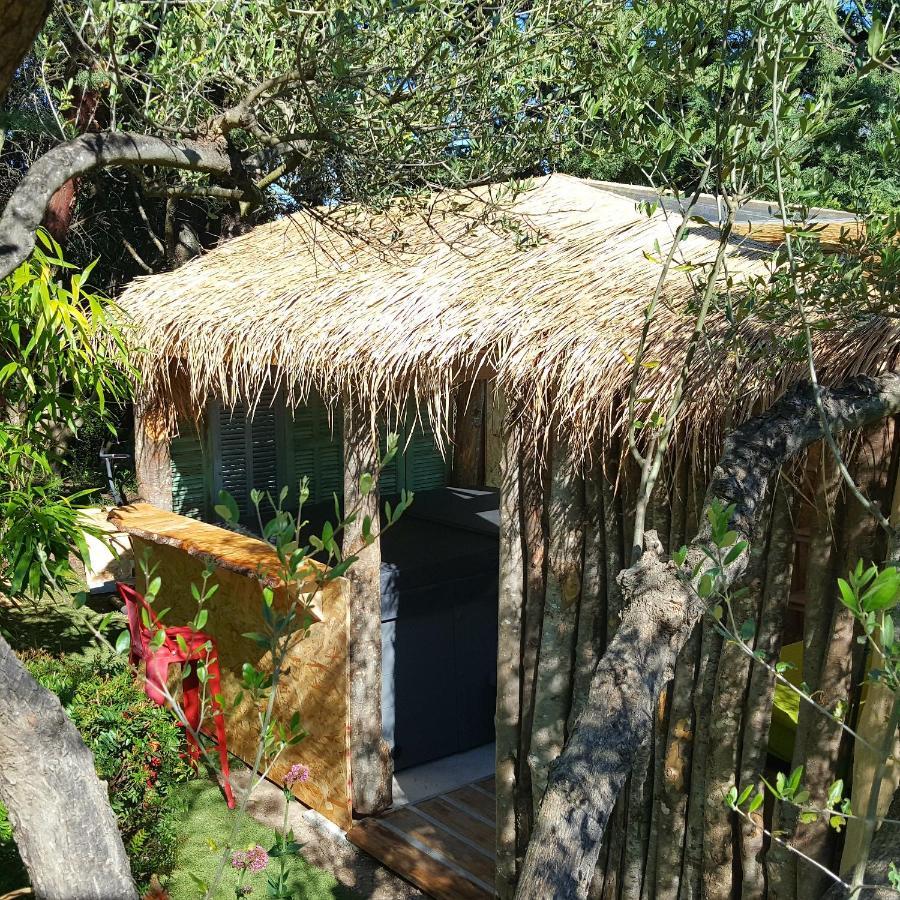 Logement De Charme Avec Piscine Et Jacuzzi Carnoules  Exterior foto