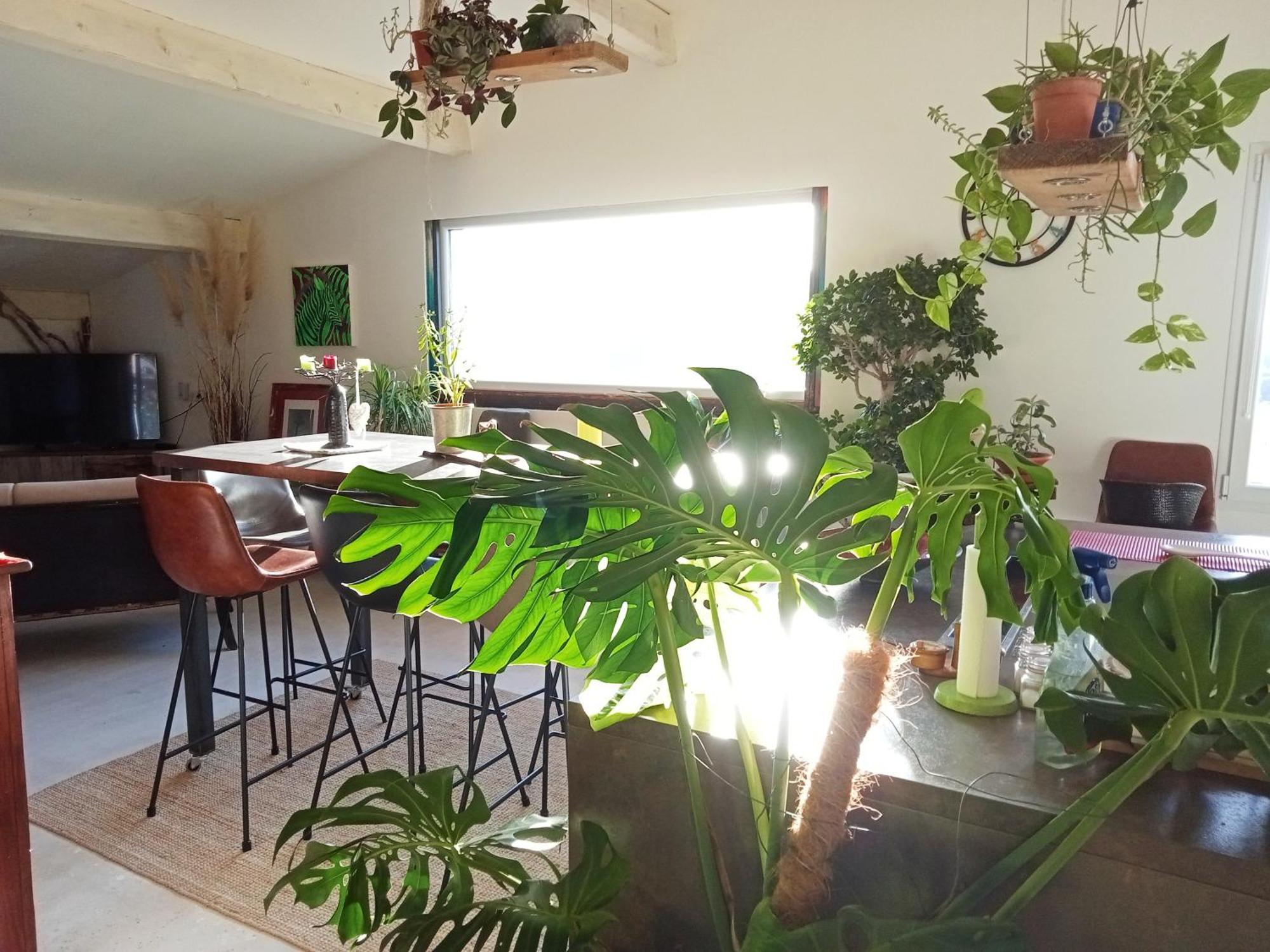 Logement De Charme Avec Piscine Et Jacuzzi Carnoules  Exterior foto